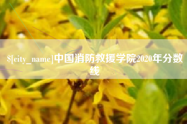 遵化市中国消防救援学院2020年分数线