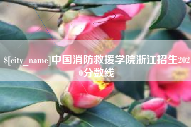 遵化市中国消防救援学院浙江招生2020分数线