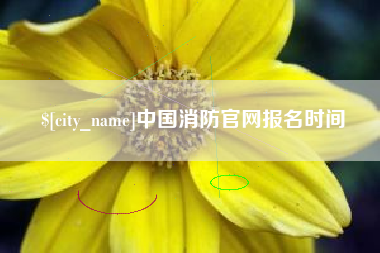 遵化市中国消防官网报名时间