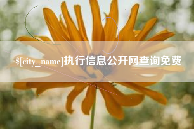 遵化市执行信息公开网查询免费